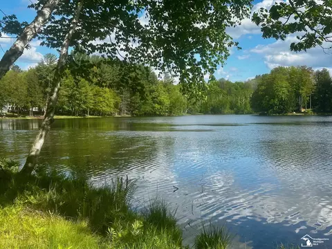 9846 Miramichi, Evart, MI 49631