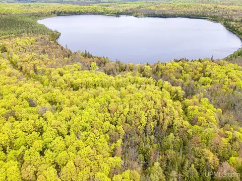 On Fr 8300, Marenisco, MI 49947
