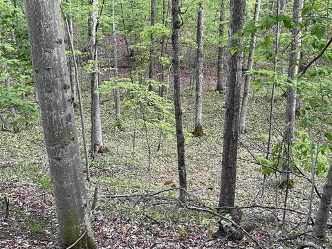 42 5 Ac 95 Rd, Garden, MI 49835