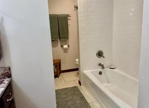 Bath - 6223 E Townline Lk, Harrison, MI 48625 photo 6 of 9