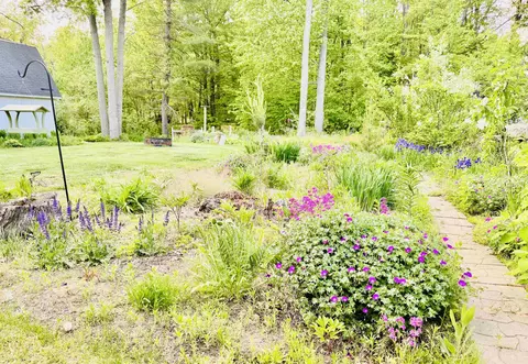 Exterior - 6223 E Townline Lk, Harrison, MI 48625 photo 9 of 10