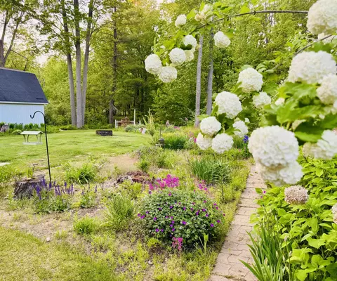 Exterior - 6223 E Townline Lk, Harrison, MI 48625 photo 7 of 10