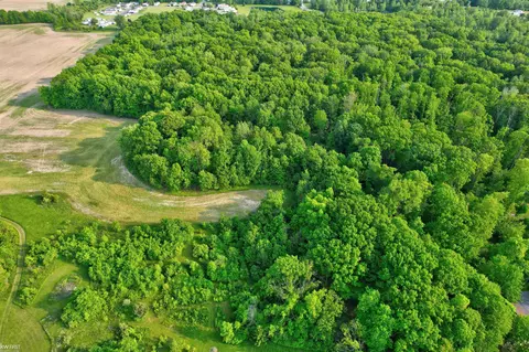 View/Area - 2284 E Frances, Clio, MI 48420 photo 4 of 6