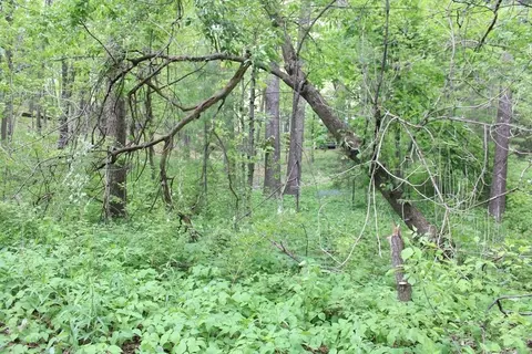 Other - Undisclosed, Harrison, MI 48625 photo 3 of 4