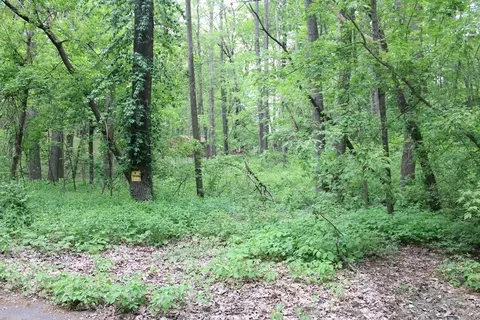 Other - Undisclosed, Harrison, MI 48625 photo 2 of 4