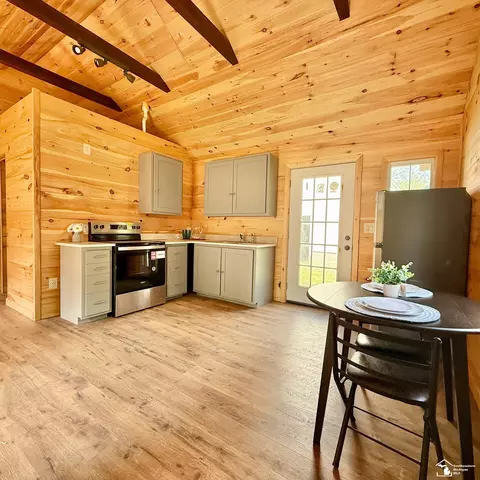 Kitchen - 440 Cherry, Manitou Beach, MI 49253 photo 3 of 6