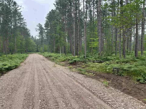 tbd Parcel 1 Paint Riv, Crystal Falls, MI 49920