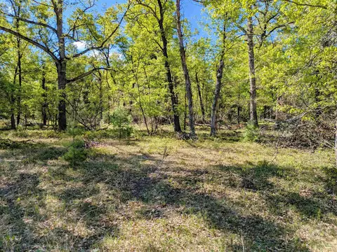 Cranberry, Alger, MI 48610