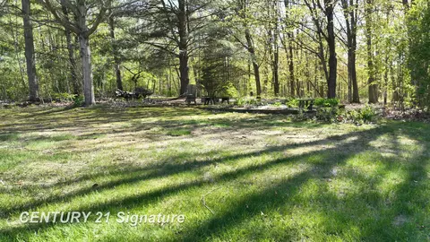 8285 Seymour, Flushing, MI 48433 photo 47