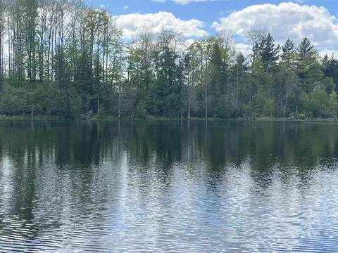 8046 Wallace Drive, Lake, MI 48632