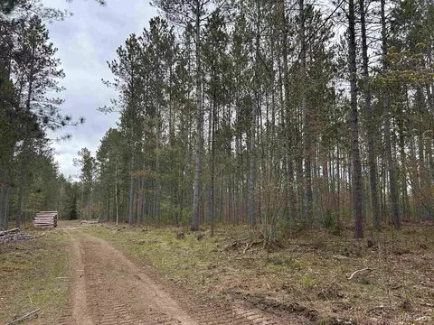 tbd Parcel 3 Paint Riv, Crystal Falls, MI 49920