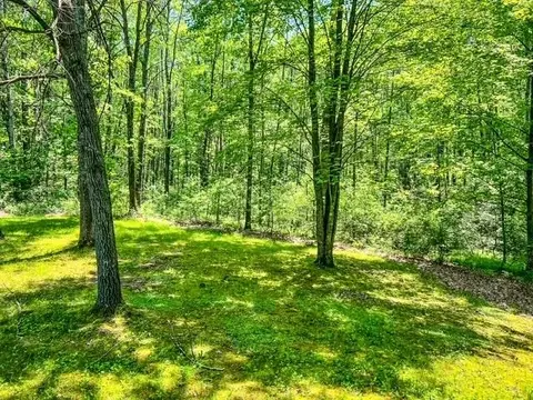 Exterior - 624 E Surrey, Farwell, MI 48622 photo 3 of 4