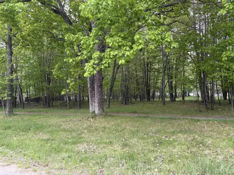 lot392393 Tipperary, Gladstone, MI 49837