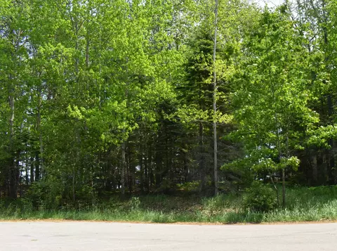 lot143 Buxton, Gladwin, MI 48624 photo 11