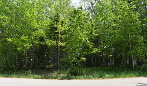 lot143 Buxton, Gladwin, MI 48624 photo 7