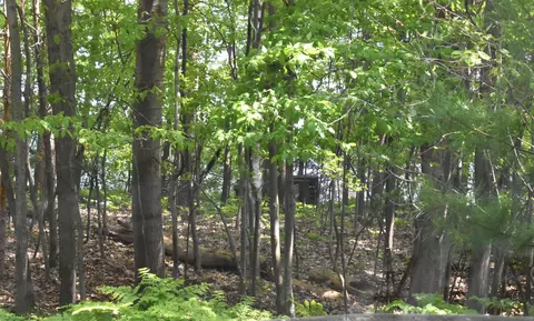 lot143 Buxton, Gladwin, MI 48624 photo 6