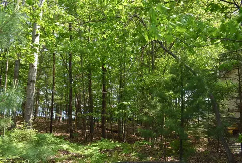 lot143 Buxton, Gladwin, MI 48624 photo 9