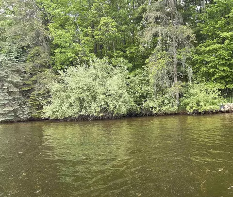 lot143 Buxton, Gladwin, MI 48624 photo 5