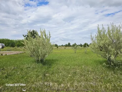 118 Dundee, Gladwin, MI 48624