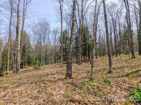 40 Acres Olson Loop, Iron River, MI 49935 photo 21