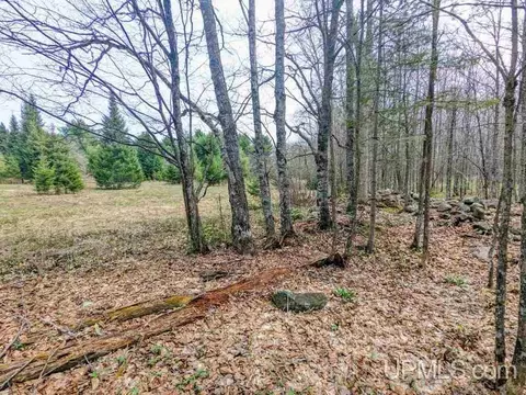 40 Acres Olson Loop, Iron River, MI 49935 photo 4