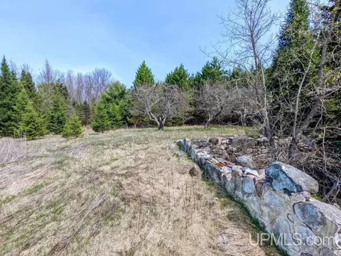 40 Acres Olson Loop, Iron River, MI 49935 photo 11