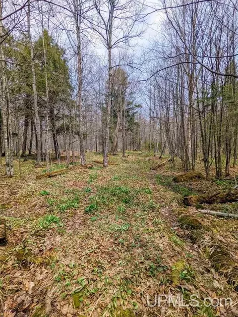 40 Acres Olson Loop, Iron River, MI 49935 photo 26