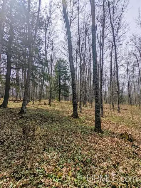 40 Acres Olson Loop, Iron River, MI 49935 photo 24