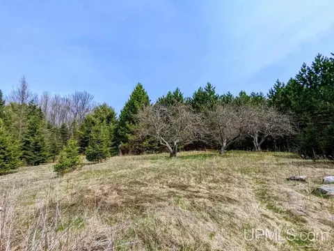 40 Acres Olson Loop, Iron River, MI 49935 photo 12