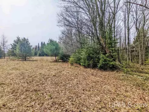 40 Acres Olson Loop, Iron River, MI 49935 photo 17