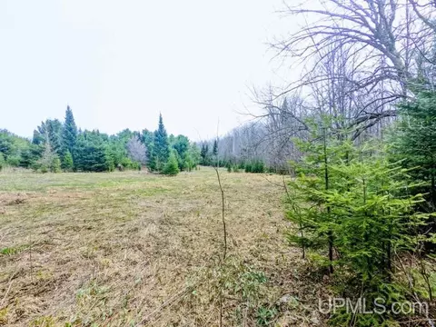 40 Acres Olson Loop, Iron River, MI 49935
