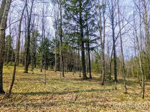 40 Acres Olson Loop, Iron River, MI 49935 photo 19