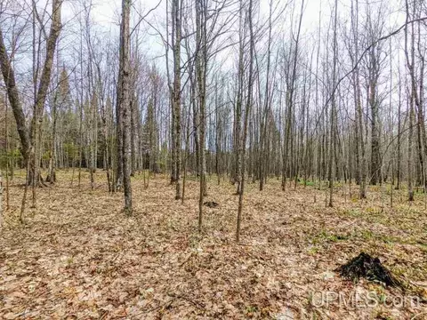 40 Acres Olson Loop, Iron River, MI 49935 photo 15