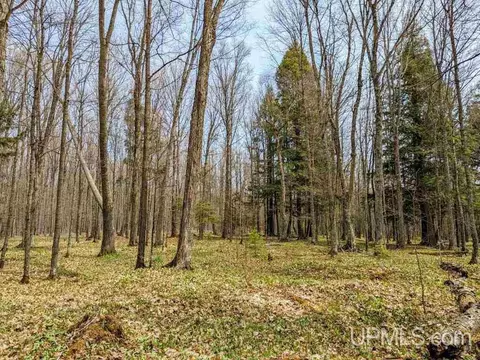 40 Acres Olson Loop, Iron River, MI 49935 photo 25
