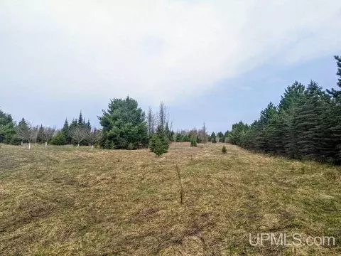 40 Acres Olson Loop, Iron River, MI 49935 photo 7