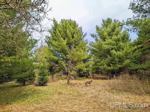 40 Acres Olson Loop, Iron River, MI 49935 photo 6