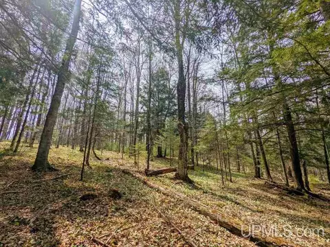 40 Acres Olson Loop, Iron River, MI 49935 photo 20