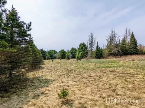 40 Acres Olson Loop, Iron River, MI 49935 photo 10