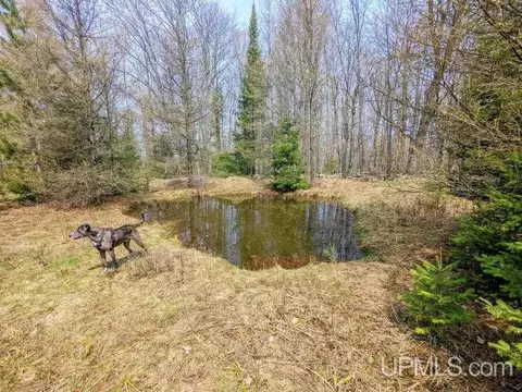 40 Acres Olson Loop, Iron River, MI 49935 photo 14