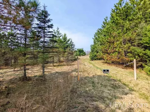 40 Acres Olson Loop, Iron River, MI 49935 photo 9