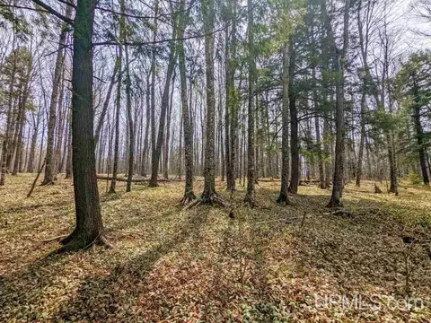 40 Acres Olson Loop, Iron River, MI 49935 photo 23