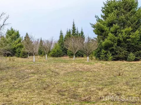 40 Acres Olson Loop, Iron River, MI 49935 photo 8