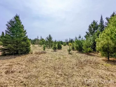 40 Acres Olson Loop, Iron River, MI 49935 photo 13