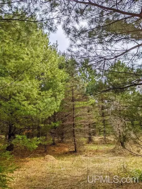 40 Acres Olson Loop, Iron River, MI 49935 photo 5
