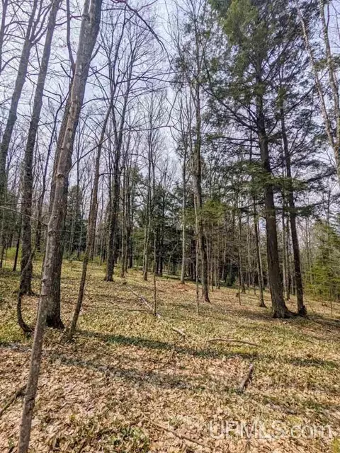 40 Acres Olson Loop, Iron River, MI 49935 photo 18