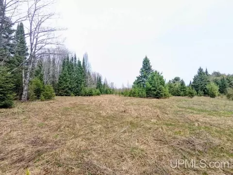 40 Acres Olson Loop, Iron River, MI 49935 photo 2