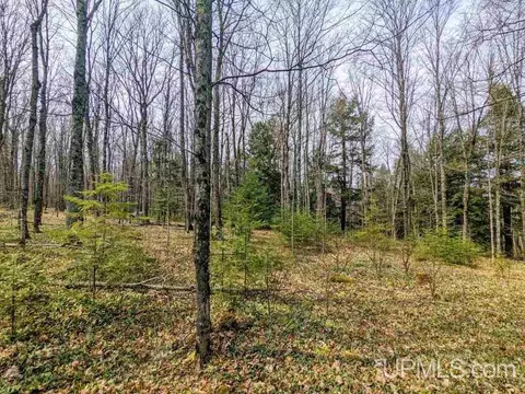 40 Acres Olson Loop, Iron River, MI 49935 photo 16