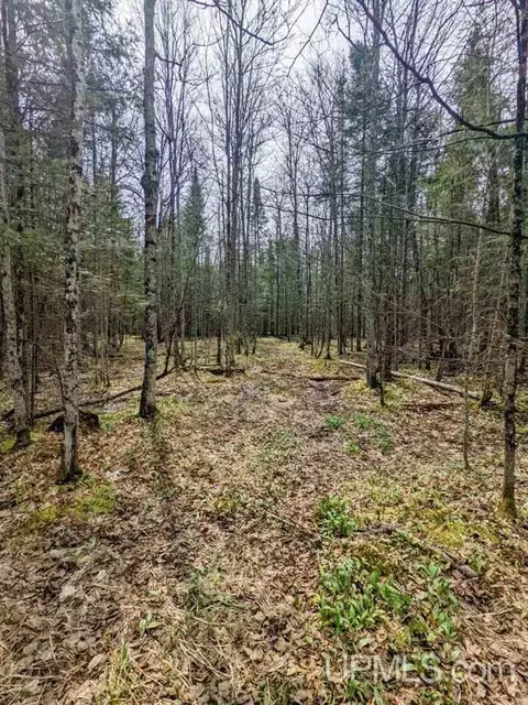 40 Acres Olson Loop, Iron River, MI 49935 photo 27