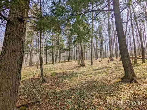 40 Acres Olson Loop, Iron River, MI 49935 photo 22