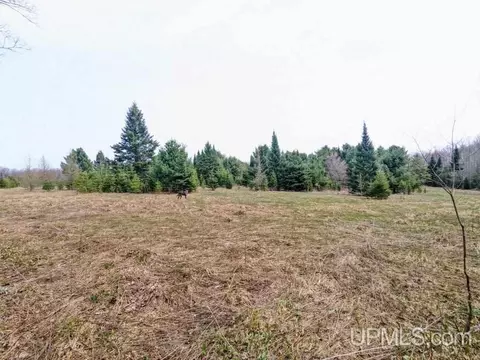 40 Acres Olson Loop, Iron River, MI 49935 photo 3